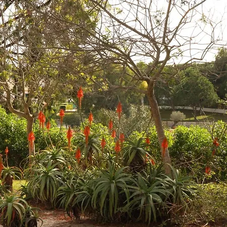 Διαμέρισμα O Pinheiro - Hannah *