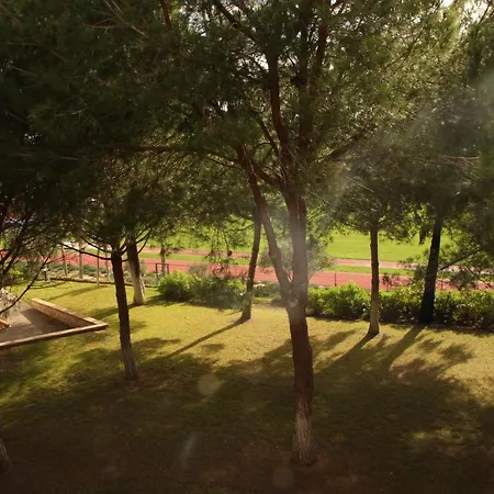 Διαμέρισμα O Pinheiro - Hannah Olhos de Αgua