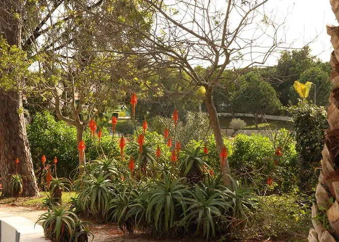 Lägenhet O Pinheiro - Hannah *